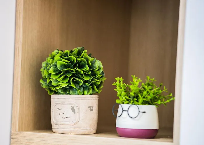 Matisse No16 - Center Διαμέρισμα